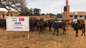 مشروع دعم التعليم الأساسي